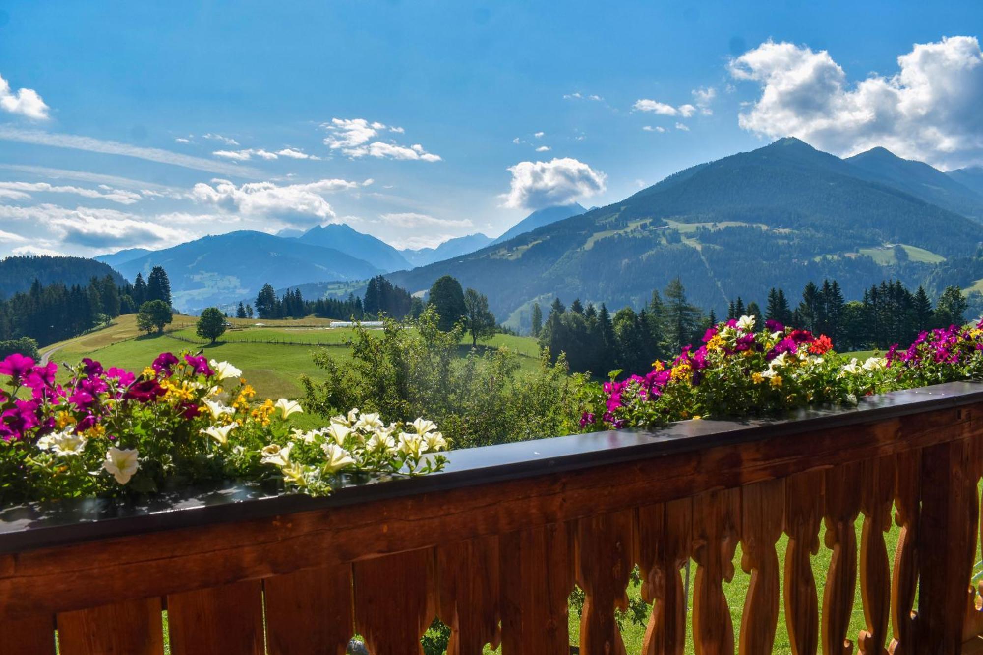Appartement Stoanerhof *